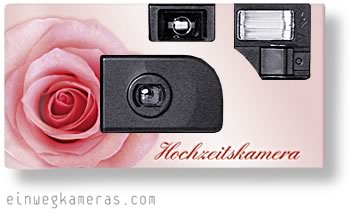 Rosa Rose - Hochzeits Cam