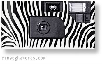 Zebra Cam